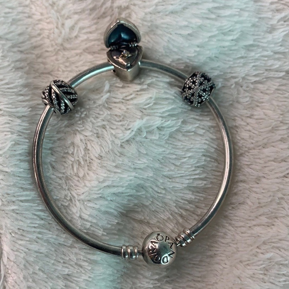 Pandora Bangle Combo